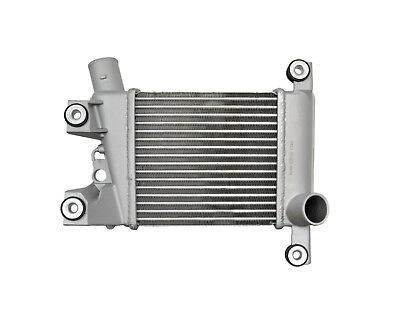Διαψύκτης N250-03O για NISSAN URVAN E25 14461-VM00A NP300 2.5TDI 2008 Βέλτιστη απόδοση